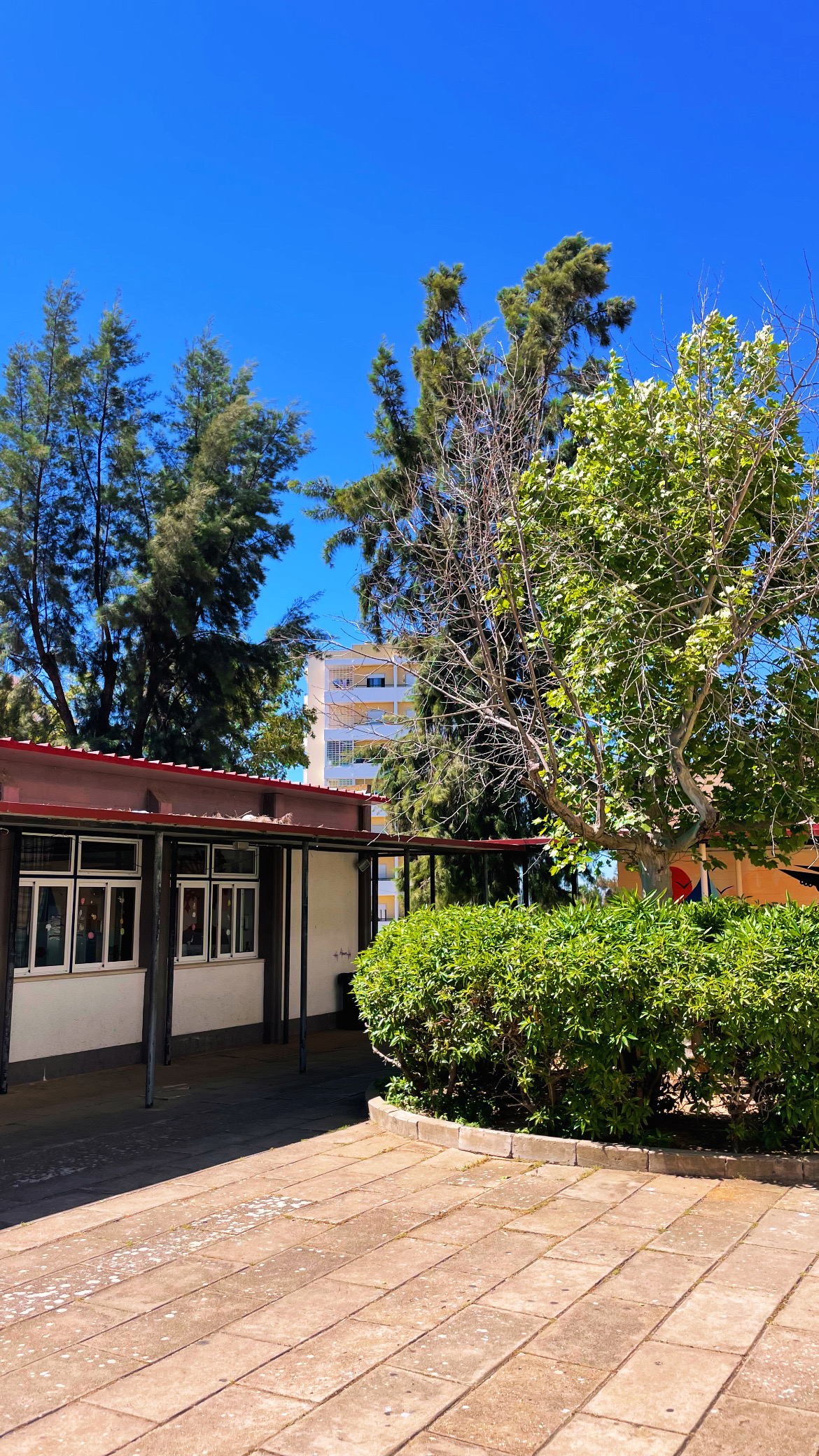 Escola Básica D. Afonso III - fotografia 1