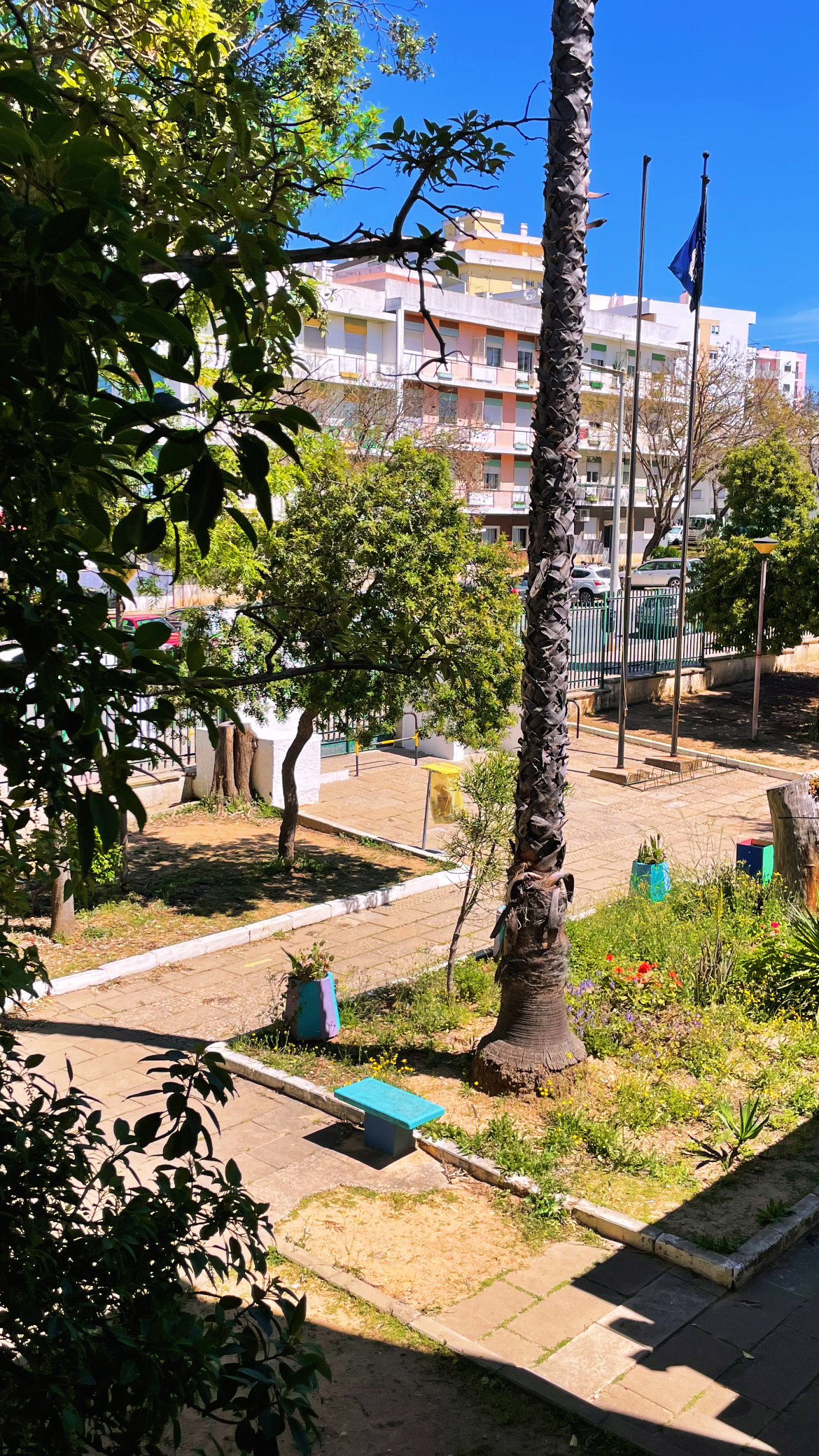 Escola Básica D. Afonso III - fotografia 3