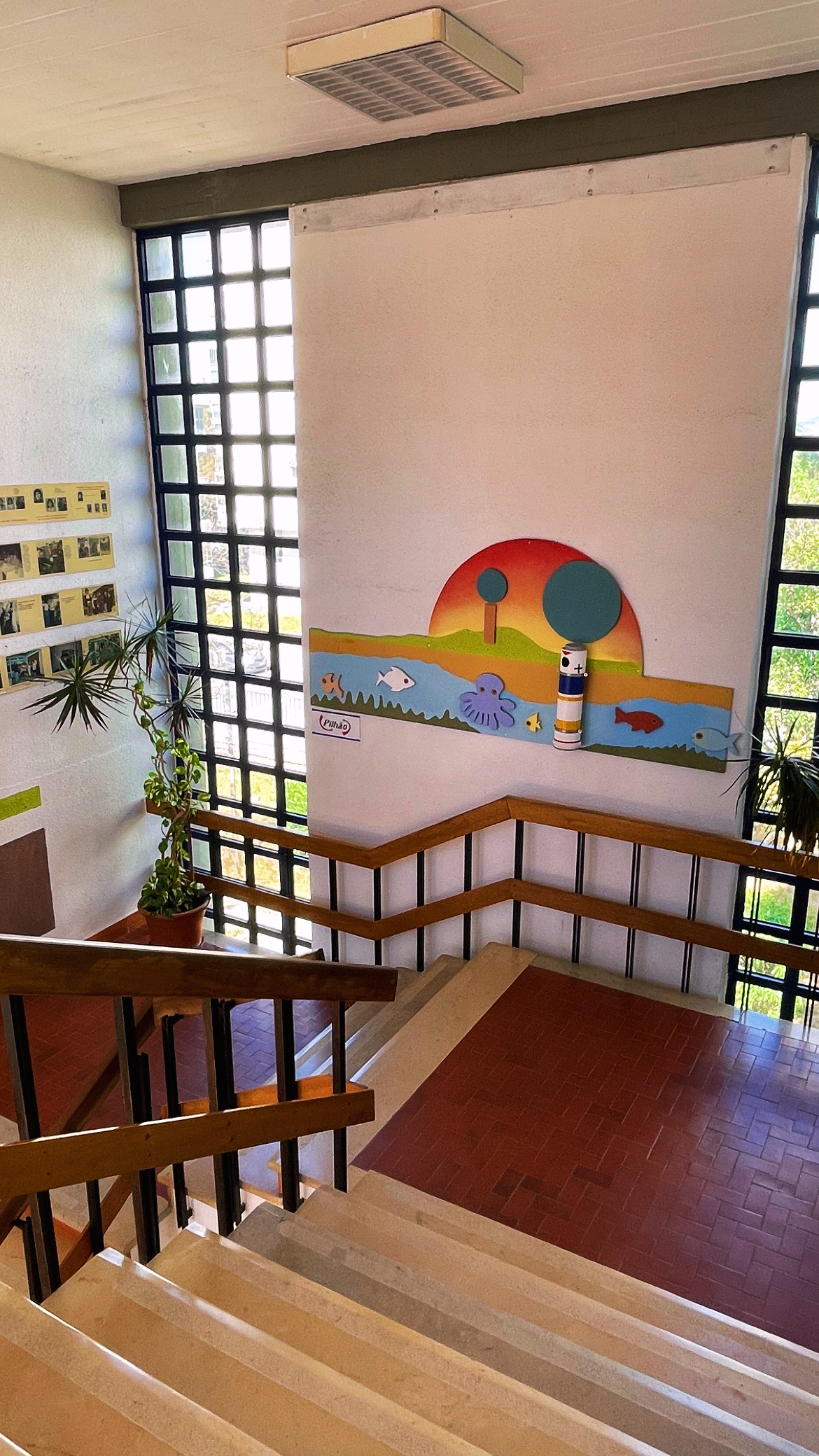 Escola Básica D. Afonso III - fotografia 11
