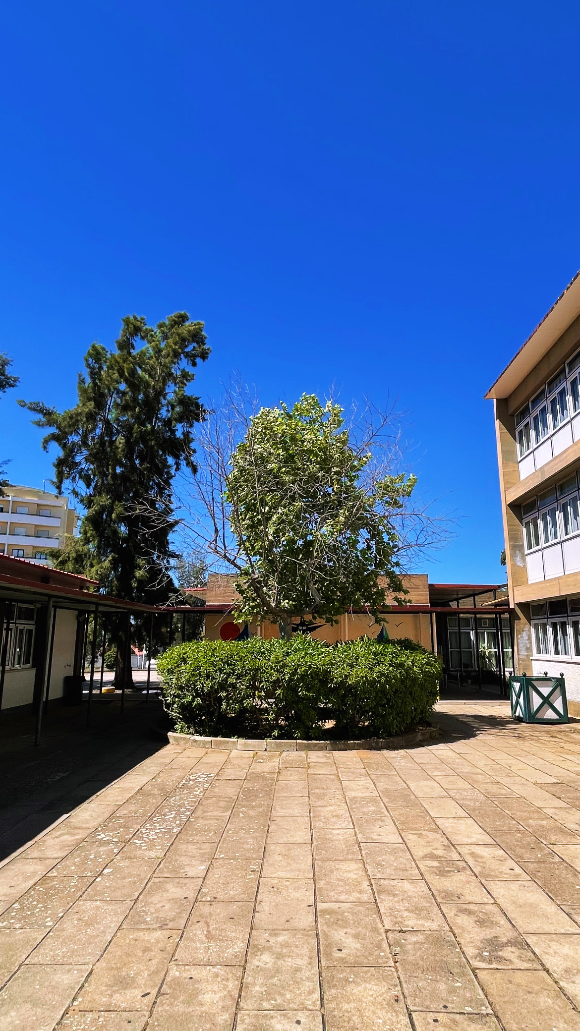Escola Básica D. Afonso III - fotografia 12