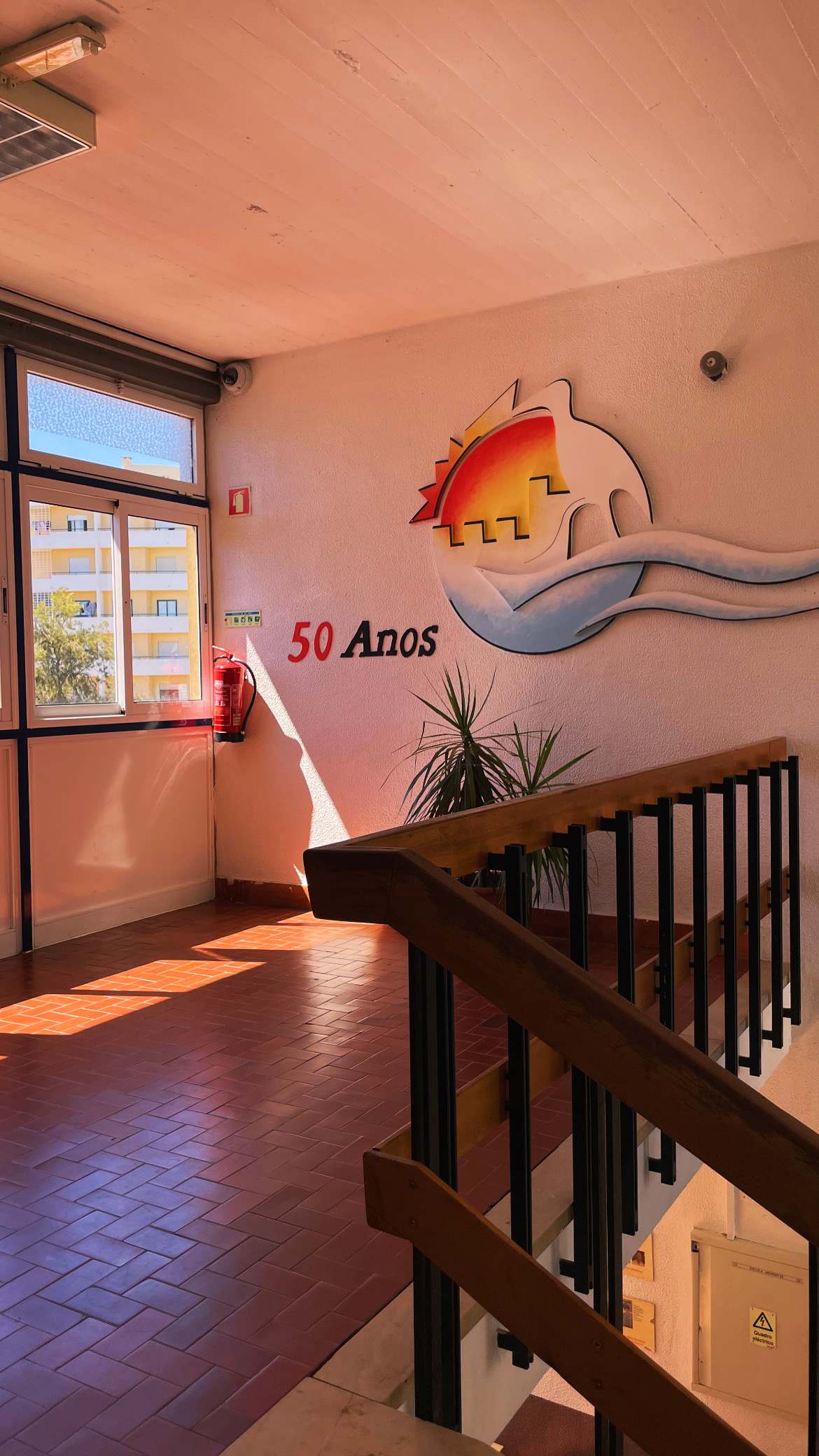 Escola Básica D. Afonso III - fotografia 14